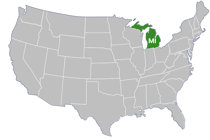 State MI
