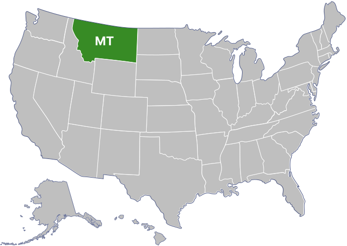 State mt