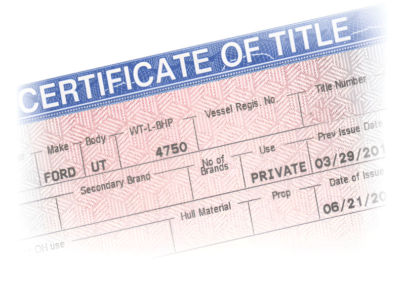 State-Specific Regulations and Legal Requirements
